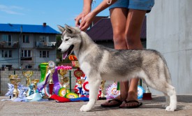 у1.jpg (358.84 КБ, Просмотров: 2100) у1.jpg