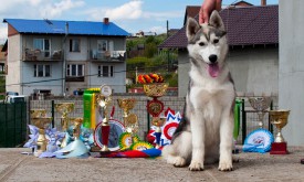 у2.jpg (371.71 КБ, Просмотров: 2099) у2.jpg