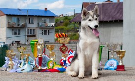 у3.jpg (385.83 КБ, Просмотров: 2098) у3.jpg