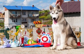 у4.jpg (273.75 КБ, Просмотров: 2099) у4.jpg