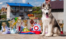 у6.jpg (285.76 КБ, Просмотров: 2099) у6.jpg