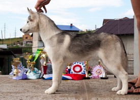 у1.jpg (311.76 КБ, Просмотров: 2097) у1.jpg