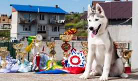 у3,.jpg (365.14 КБ, Просмотров: 2097) у3,.jpg