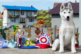 у4.jpg (395.78 КБ, Просмотров: 2097) у4.jpg