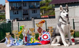 у4.jpg (322.98 КБ, Просмотров: 2097) у4.jpg