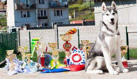 у3.jpg (302.07 КБ, Просмотров: 2097) у3.jpg