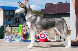 у1.jpg (285.37 КБ, Просмотров: 1963) у1.jpg