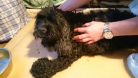 IMG-20150820-WA0000.jpg (135.13 КБ, Просмотров: 2151) IMG-20150820-WA0000.jpg