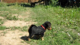 Красная 1.jpg (282.7 КБ, Просмотров: 2912) Красная 1.jpg