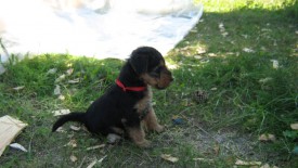 Красная 2.jpg (142.66 КБ, Просмотров: 2548) Красная 2.jpg