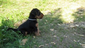 Белый 2.jpg (236.22 КБ, Просмотров: 2657) Белый 2.jpg