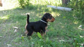 Белый 1.jpg (178.5 КБ, Просмотров: 2649) Белый 1.jpg