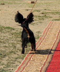 5 (Копировать).jpg (374.92 КБ, Просмотров: 2447) 5 (Копировать).jpg