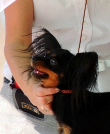 1 (Копировать).jpg (103.46 КБ, Просмотров: 2448) 1 (Копировать).jpg