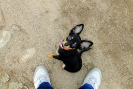 Окси на байкале (Копировать).jpg (607.99 КБ, Просмотров: 2444) Окси на байкале (Копировать).jpg