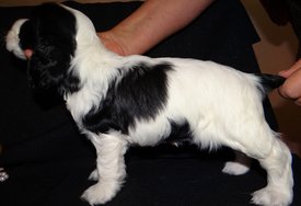 4.jpg (185.26 КБ, Просмотров: 1984) 4.jpg