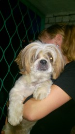 рооп.jpg (110.17 КБ, Просмотров: 1734) рооп.jpg