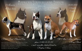 1.jpg (168.08 КБ, Просмотров: 1683) 1.jpg