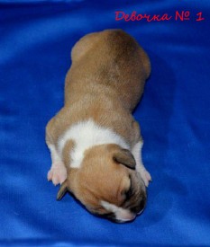 BUQb3f0n4MY.jpg (76.35 КБ, Просмотров: 1681) BUQb3f0n4MY.jpg