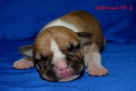 GzbKxdsIJTQ.jpg (80.95 КБ, Просмотров: 1976) GzbKxdsIJTQ.jpg