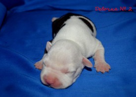 7_U2_5yu10I.jpg (75.9 КБ, Просмотров: 1681) 7_U2_5yu10I.jpg