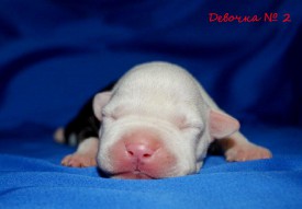 CmtaJzAVN6Q.jpg (69.25 КБ, Просмотров: 1681) CmtaJzAVN6Q.jpg