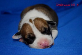 7Gjgtol_5hk.jpg (86.71 КБ, Просмотров: 1681) 7Gjgtol_5hk.jpg