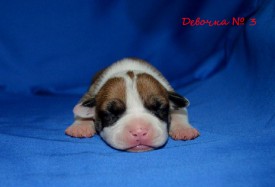 lO3ufkX5uXg.jpg (74.37 КБ, Просмотров: 1681) lO3ufkX5uXg.jpg