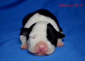 6MQdka0Ea_c.jpg (79.47 КБ, Просмотров: 1681) 6MQdka0Ea_c.jpg