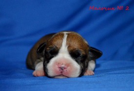 lDVaAvj3h_g.jpg (78.25 КБ, Просмотров: 1681) lDVaAvj3h_g.jpg