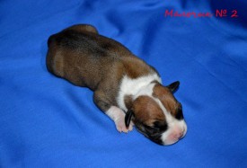 od97cDJchII.jpg (101.92 КБ, Просмотров: 1681) od97cDJchII.jpg