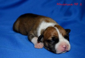 zu2891ut3zo.jpg (89.21 КБ, Просмотров: 1976) zu2891ut3zo.jpg