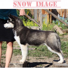 image.jpg (221.84 КБ, Просмотров: 1391) image.jpg