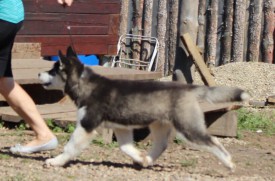 image.jpg (117.69 КБ, Просмотров: 1391) image.jpg