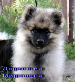 image (4).jpg (130.43 КБ, Просмотров: 3800) image (4).jpg