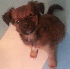Безымянный2.jpg (31.88 КБ, Просмотров: 4645) Безымянный2.jpg