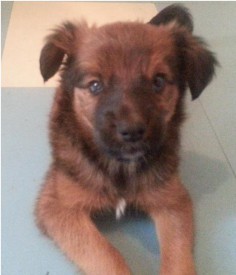 Безымянный.jpg (39.35 КБ, Просмотров: 4503) Безымянный.jpg