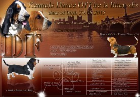 Помет Е - копия.jpg (207.92 КБ, Просмотров: 1996) Помет Е - копия.jpg