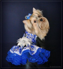 48111_456703957734081_1480105545_n.jpg (61.31 КБ, Просмотров: 9224) 48111_456703957734081_1480105545_n.jpg