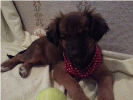 бус.jpg (36.29 КБ, Просмотров: 4286) бус.jpg