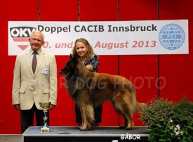 10734137_940634995965781_2505161835408411187_n.jpg (58.67 КБ, Просмотров: 1878) 10734137_940634995965781_2505161835408411187_n.jpg