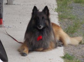 002_310_232_90.jpg (20.11 КБ, Просмотров: 1878) 002_310_232_90.jpg