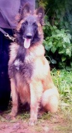 12023269_778741998903956_1291104070_n.jpg (24.92 КБ, Просмотров: 1876) 12023269_778741998903956_1291104070_n.jpg