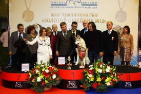 ошейник.jpg (158.79 КБ, Просмотров: 1453) ошейник.jpg