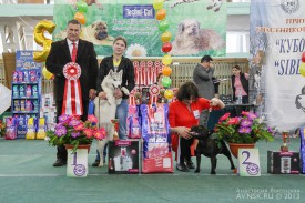 image(62).jpg (156.91 КБ, Просмотров: 1451) image(62).jpg