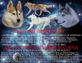 максии.jpg (138.88 КБ, Просмотров: 1453) максии.jpg