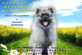 image (3).jpg (150.31 КБ, Просмотров: 3307) image (3).jpg