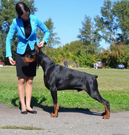 94397e95c99624034317c1d80cee6d12.jpg (96.09 КБ, Просмотров: 1771) 94397e95c99624034317c1d80cee6d12.jpg