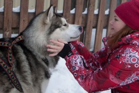 зенит-и-аруба1.jpg (78.78 КБ, Просмотров: 1741) зенит-и-аруба1.jpg