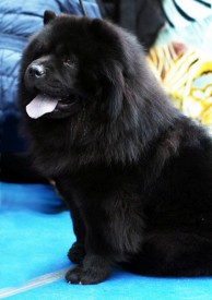 Yrc-FWVorrI.jpg (46.72 КБ, Просмотров: 1296) Yrc-FWVorrI.jpg